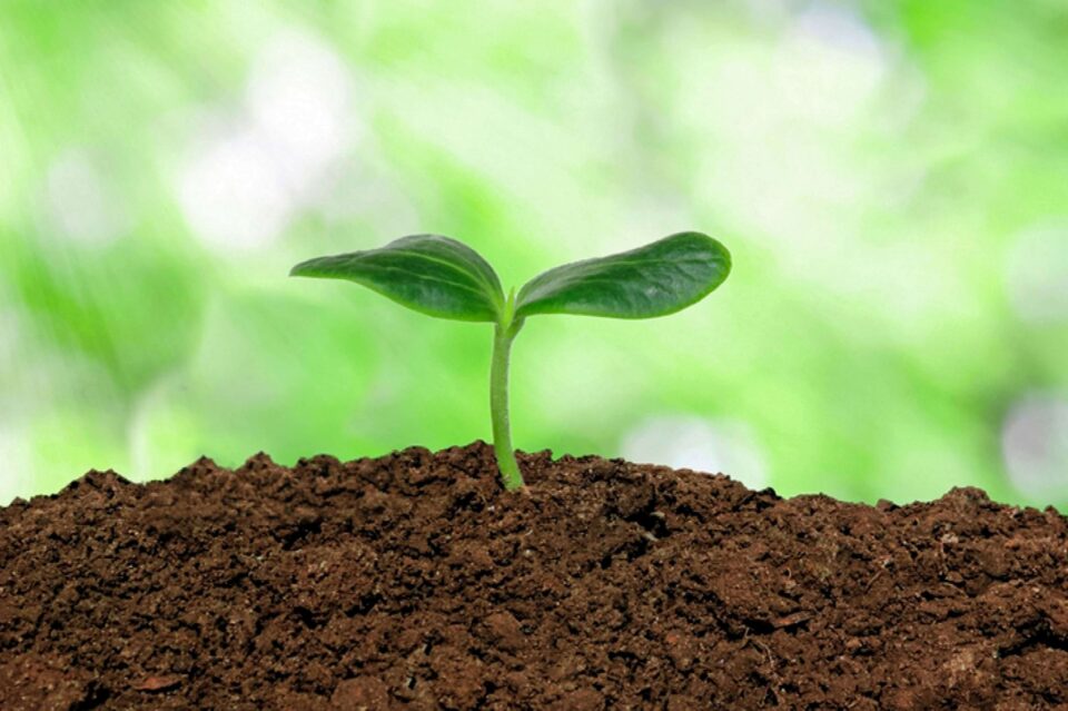 Build your soil